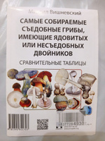 Михаил Вишневский книга Самые собираемые съедобные грибы, имеющие ядовитых или несъедобных двойников. Сравнительные таблицы. | Вишневский Михаил Владимирович #1, Анастасия М.