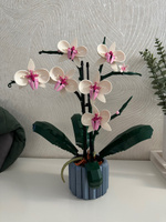 Конструктор Цветы Орхидея 608 деталей #103, Юля Ш.