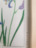 Интерьерные постеры 21х30 см, набор 4 шт "Цветы. Японская гравюра", (без рамок) / картины для интерьера #18, Екатерина М.