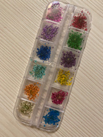 Сухоцветы для дизайна ногтей D 1-2 см. + пластиковый кейс, 36 шт. соцветий, набор 12 расцветок. #67, Кристина К.
