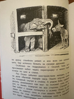 Мои звери Дуров В.Л. НАША МАРКА Детская литература Рассказы о животных Книги для детей 6+ #4, Ирина Л.