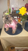 Куртка для собак мелких пород и кошек Arnydog "Лондон" розовая, L (30 см) #3, Юлия П.