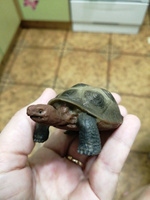 Фигурка животного Derri Animals Слоновая черепаха для детей игрушка коллекционная декоративная, 81604, 8,3х5х3,3 см #40, инна к.