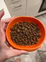 Корм сухой Probalance Sterilized для стерилизованных кошек и кастрированных котов, с курицей, 1,8 кг #52, Алсу С.