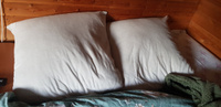 Подушка для сна 70х70 Бамбук с молнией в микрофибре Реноме лебяжий пух двухкамерная #33, Виктор К.