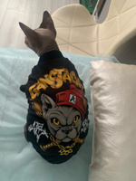 Одежда для кошек сфинкс с принтом "Gansta Cat" размер L для котов и собак мелких пород, ALFAKOT (Альфакот) #4, Ольга У.