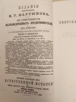 История Тверского княжества #3, Ирина