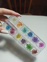 Сухоцветы для дизайна ногтей D 1-2 см. + пластиковый кейс, 36 шт. соцветий, набор 12 расцветок. #61, Надежда Б.