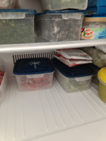 Набор прямоугольных пищевых контейнеров для замораживания продуктов "Морозко", 1 л , 3 шт #4, Мира Р.