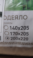  Одеяло Евро 200x220 см, Всесезонное, с наполнителем Полиэфирное волокно, комплект из 1 шт #78, Сергей П.