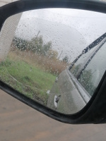 Пленка антидождь на зеркала автомобиля 135 х 95 мм #5, Елена Ш.