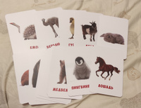 Развивающие карточки для малышей "Животные и детеныши" (Обучающие логопедические карточки Домана для детей) 30 шт. #55, Полина Г.