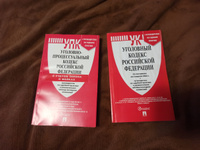 Уголовный Кодекс 2024 + УПК РФ 2024 (по сост. на 25.09.24г.). КОМПЛЕКТ. #3, Елизавета К.