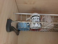 Сушилка для посуды двухуровневая из нержавеющей стали в шкаф 600мм, сушка для посуды #35, Олеся Д.