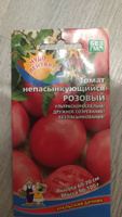 Томат, набор семян из 4-х сортов: Непасынкующийся Желтый / Непасынкующийся Малиновый / Непасынкующийся Янтарный / Непасынкующийся Розовый, 4 упаковки, Уральский Дачник #43, Ольга Н.