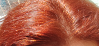 CRIOXIDIL Краска для волос, 100 мл #25, Елена Щ.