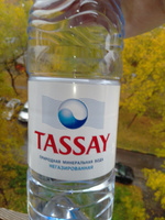 Вода негазированная Tassay природная, 6 шт х 1,5 л #147, ирина