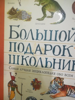 Большой подарок школьнику. Энциклопедия ученика начальных классов от 7 лет | Скудери М. #12, Наталья В.