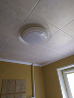 Песочная экструдированная потолочная плитка из пенопласта, на потолок, С516, 10 кв.м., 40 шт. #3, Лариса