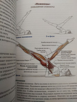 Анатомия пилатеса | Клиппингер Карен, Исаковиц Раэль #8, Марина К.