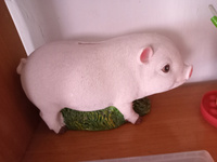 Копилка для денег. Свинка Gluckliches Schwein самая популярная из всех свинок. С резиновым клапаном. Не разбивать. Вечная копилка. #17, Кристина Л.