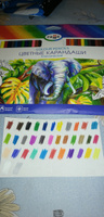 Набор цветных карандашей для рисования Гамма "Классические", 36 цветов, заточен., картон. упаковка, европодвес #101, Кристина Р.