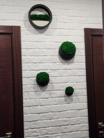 Набор настенных декоративных кашпо 10,15,20 см 3 шт черного цвета со стабилизированным мхом на стену интерьерное сухоцветы #41, Ирина Ш.
