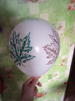 Воздушные шары Кленовые листья! Набор 10 штук 30 см #1, Евгения Д.