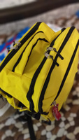 Рюкзак сумка чемодан для Визз Эйр ручная кладь 40 30 20 24 литра Optimum Wizz Air RL, желтый #36, Юлия П.