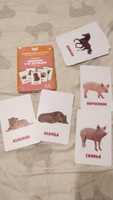 Развивающие карточки для малышей "Животные и детеныши" (Обучающие логопедические карточки Домана для детей) 30 шт. #54, Полина Г.