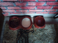 Миска для кошек, для собак DD Style / Пластиковая миска для воды и корма, коричневый, 250 мл #8, Валентина Цветкова