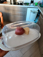 Сырница Rotho Cheese dome FRESH, масленка для сливочного масла. Контейнер для хранения сыра с крышкой, пластиковый контейнер для хранения продуктов, большой, прозрачный/белый #8, кузнецова Ю.