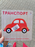 Книжки-картонки Транспорт #25, Карина