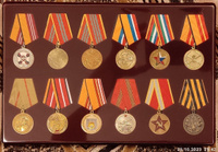 Планшет для хранения медалей диаметром 32мм, футляр для наград, органайзер под знаки отличия, рамка на 12 ячеек #6, Aleksandr G.