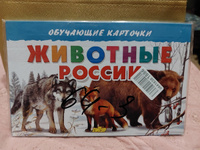 Животные России (набор из 16 карточек) Литур #1, Людмила П.