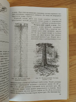 Биология. 5-6 класс. Учебник. Ботаника (1957) | Всесвятский Борис Васильевич #2, Татьяна Л.