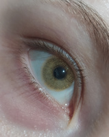 СЕРЫЕ +КАРИЕ Цветные контактные линзы для глаз MAGESTIC, 12 месяцев, 0.00 #21, Лилия Ж.
