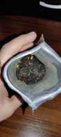 МАСАЛА пряный индийский черный чай со специями, 100 г. MUTE #74, Дмитрий С.