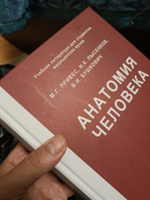 Анатомия человека. Привес М.Г. | Привес Михаил Григорьевич, Лысенков Николай Константинович #7, Erki T.