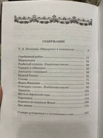 Городок в табакерке Одоевский В.Ф. Школьная библиотека программа по чтению Внеклассное чтение Детская литература Книга для детей 4 5 класс | Одоевский Владимир Федорович #17, Анна Г.