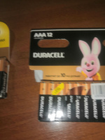 Duracell Батарейка AAA, Щелочной тип, 1,5 В, 12 шт #38, Юрий З.