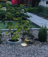 Фонарь садовый на солнечных батареях ForAll 8 Led/Комплект садовый фонарь 4 шт #53, Марина С.