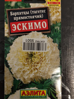 Бархатцы низкорослые "Эскимо" Семена цветов Аэлита, 0,05 гр #54, Ева К.