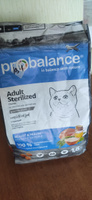 Корм сухой Probalance Sterilized для стерилизованных кошек и кастрированных котов, с курицей, 1,8 кг #22, Елена Р.