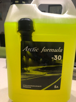 Жидкость стеклоомывателя зимняя незамерзающая Arctic Formula незамерзайка -30 С #4, Елена Л.