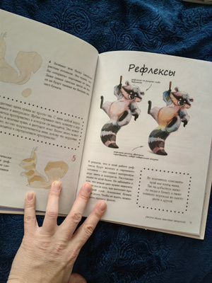 Рисуем милых животных акварелью. 20 пошаговых мастер-классов по ...