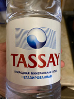 Вода негазированная Tassay природная, 6 шт х 1,5 л #181, Парфенов А.