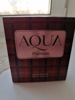 Туалетная вода мужская Aqua Platinum, 100 мл. Лаванда герань дубовый мох, для весны и лета #3, Елизавета П.