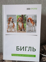 Бигль. Книга про собак. Руководство для владельцев DOG-ПРОФИ | Ришина Наталия А. #2, Элина П.