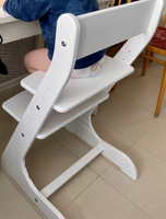 Растущий стул для детей и школьников Конек Горбунек Стандарт, для кормления детский, белый #59, Анна М.